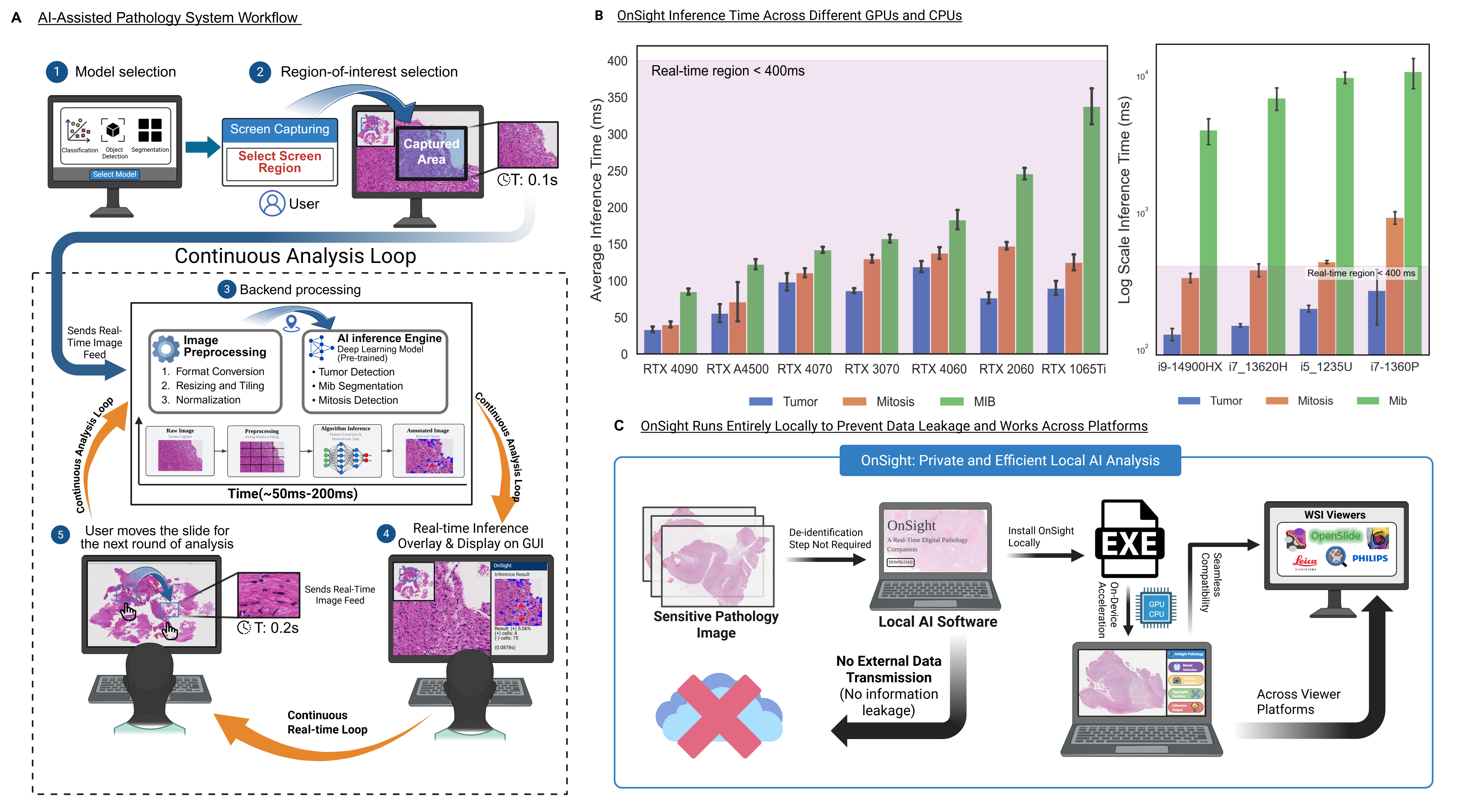 Pathologist viewing a slide on a computer.