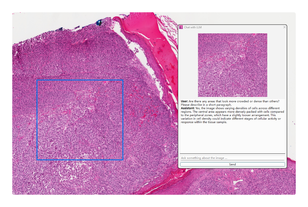 Interactive AI chat screenshot